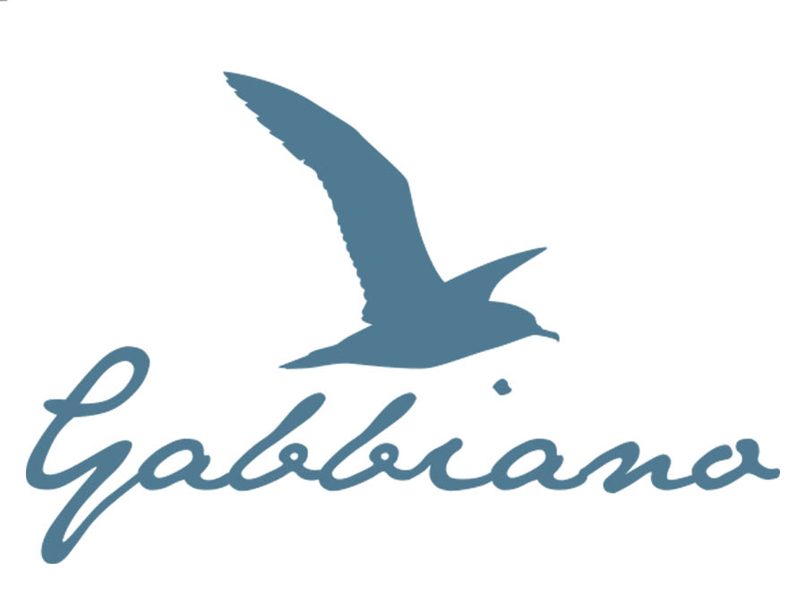 Gabbiano Malcesine